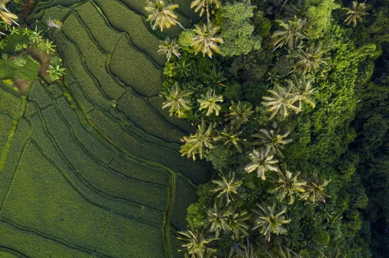 Aerial sightseeing by helicopter over Flores Island