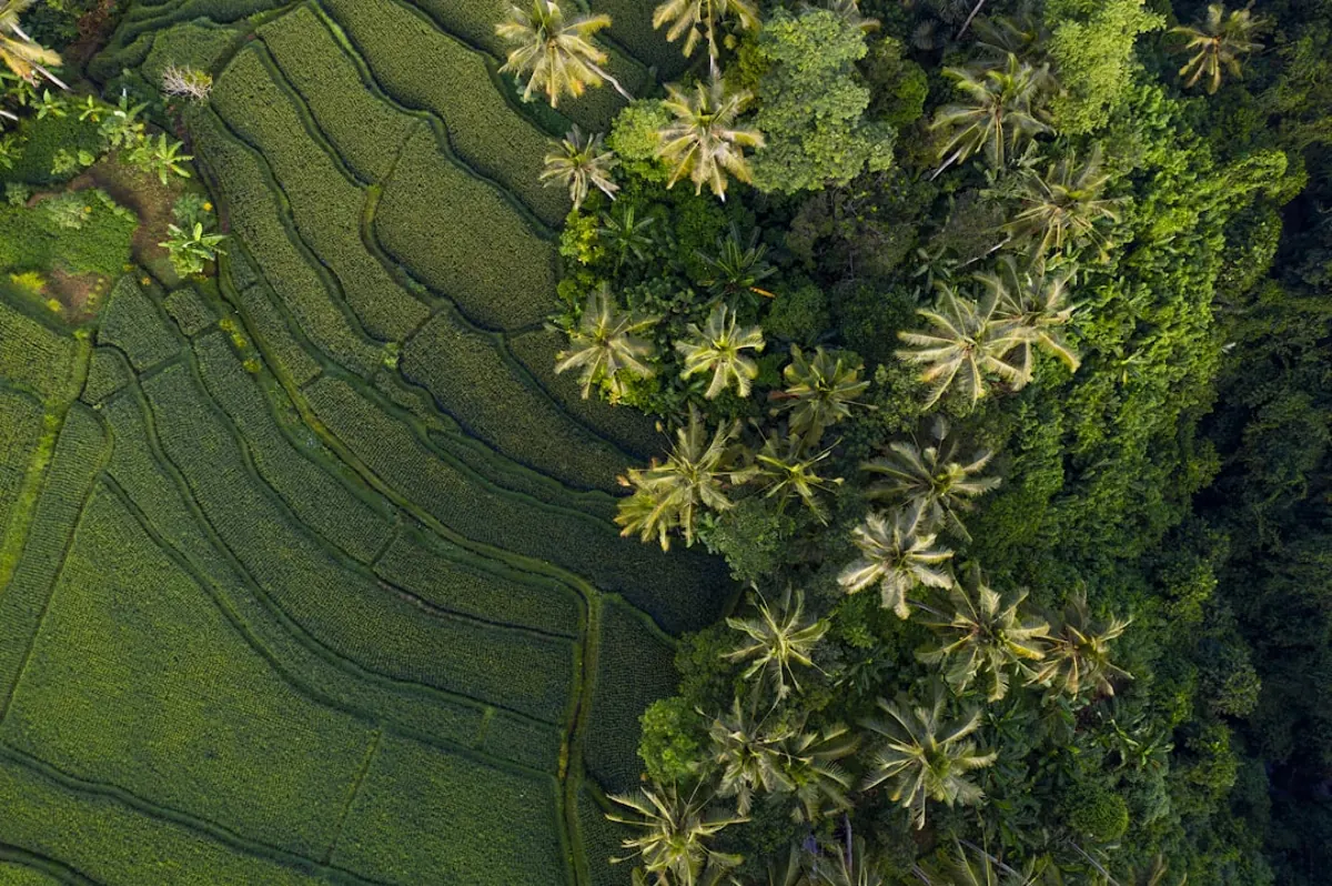 Aerial sightseeing by helicopter over Flores Island