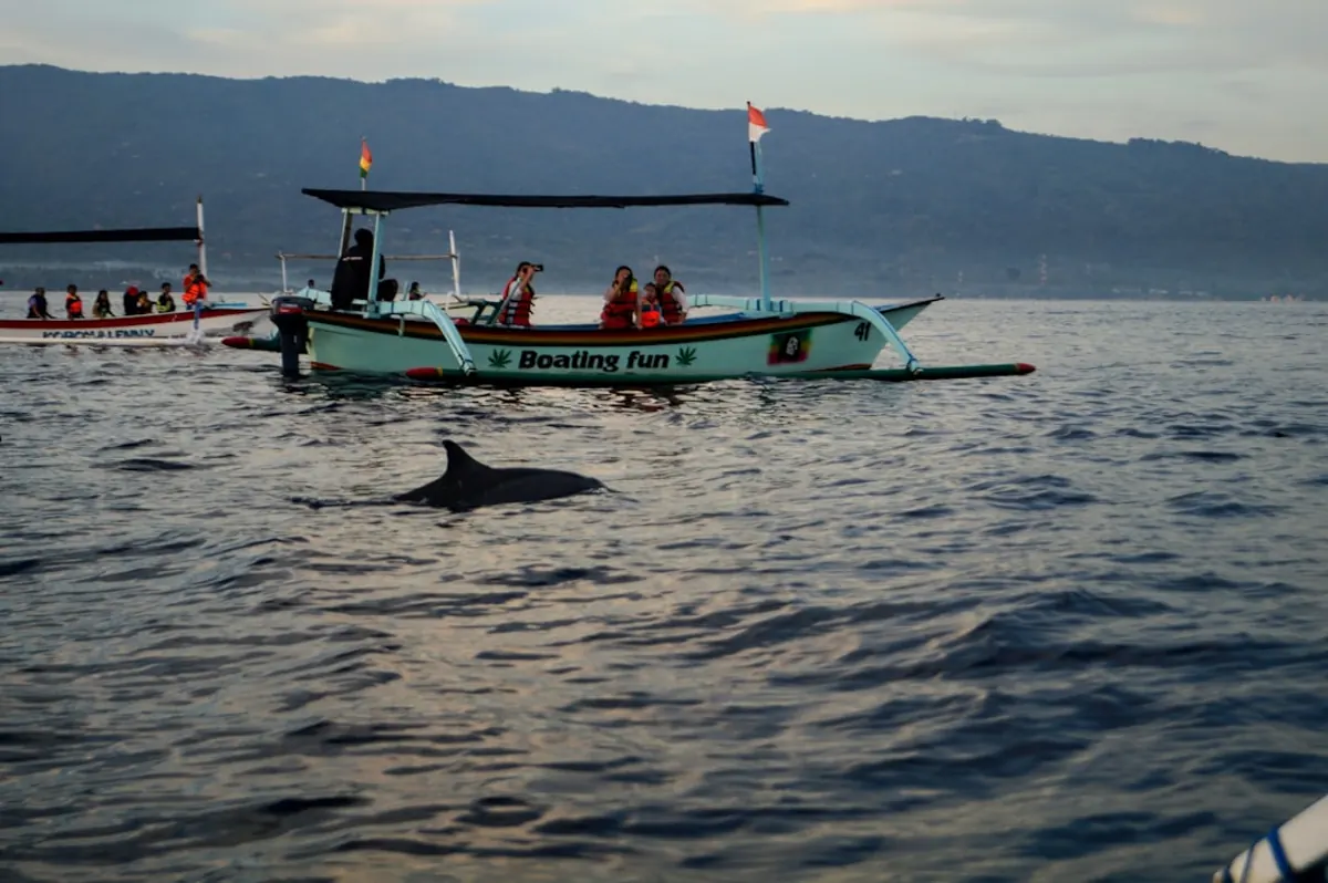 Helicopter tours vs speedboat trips in Komodo: which is better?
