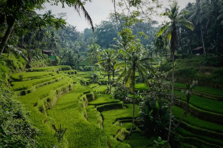 Luxury travel experiences over Bali and Komodo by helicopter